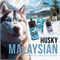 Жидкость Husky Malaysian Salt 30 мл 20 мг strong 3050 - фото 15289